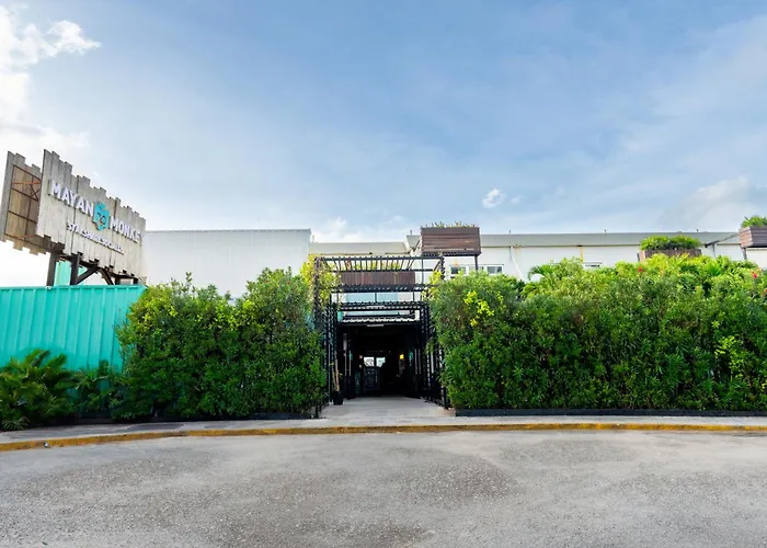 Mayan Monkey - Social (Adults Only)